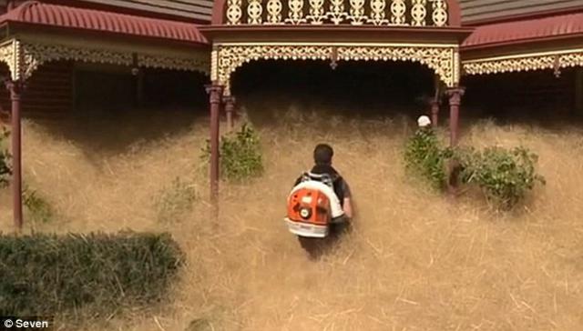 澳大利亚一小镇被风滚草“淹没” 澳大利亚一小镇被风滚草“淹没”