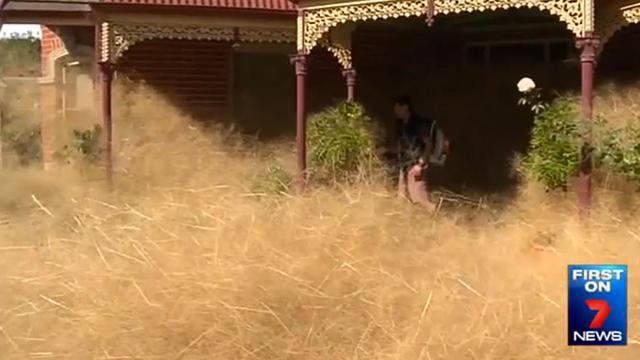 澳大利亚一小镇被风滚草“淹没” 澳大利亚一小镇被风滚草“淹没”