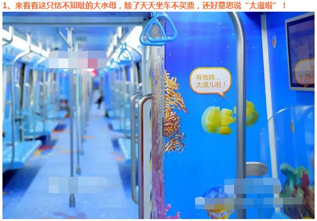 看完这些青岛话感觉自己倍瞎了 你能得多少分 看完这些青岛话感觉自己倍瞎了 你能得多少分