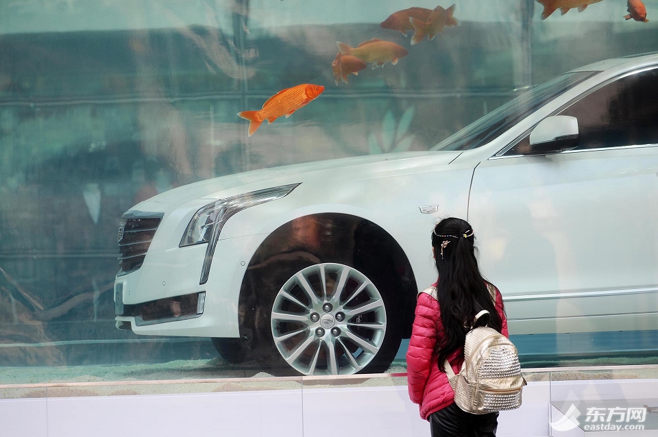 上海街头豪车泡进鱼缸引围观 变身“金刚美人鱼”
