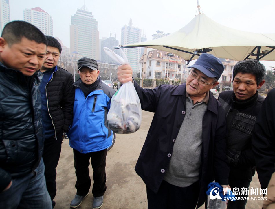 高清:青岛前海迎来梭鱼汛 海滨变开心渔场