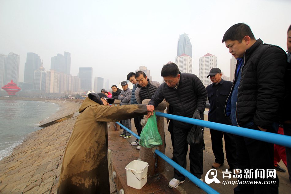 高清:青岛前海迎来梭鱼汛 海滨变开心渔场