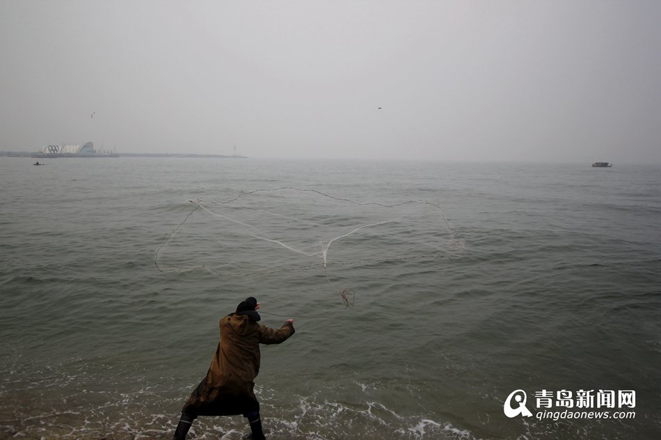 高清:青岛前海迎来梭鱼汛 海滨变开心渔场