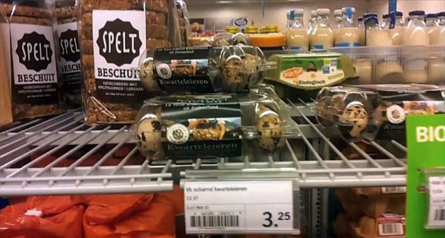 荷兰男子超市购买鹌鹑蛋竟成功孵化 荷兰男子超市购买鹌鹑蛋竟成功孵化