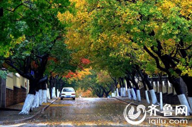 青岛最适合散步的地方 下了班去走走吧 青岛最适合散步的地方 下了班去走走吧