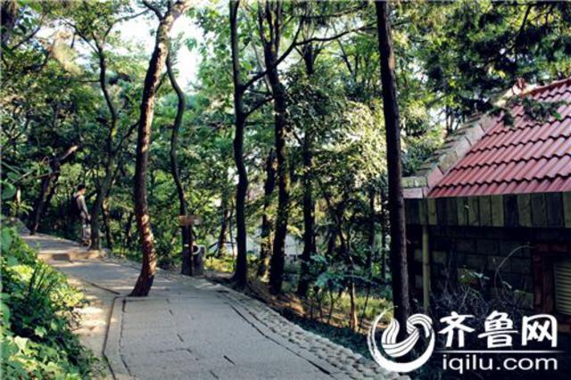 青岛最适合散步的地方 下了班去走走吧 青岛最适合散步的地方 下了班去走走吧