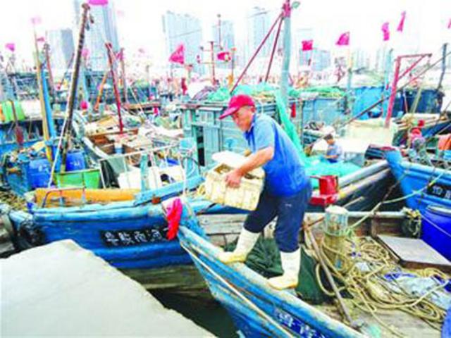 青岛码头买海货最详攻略