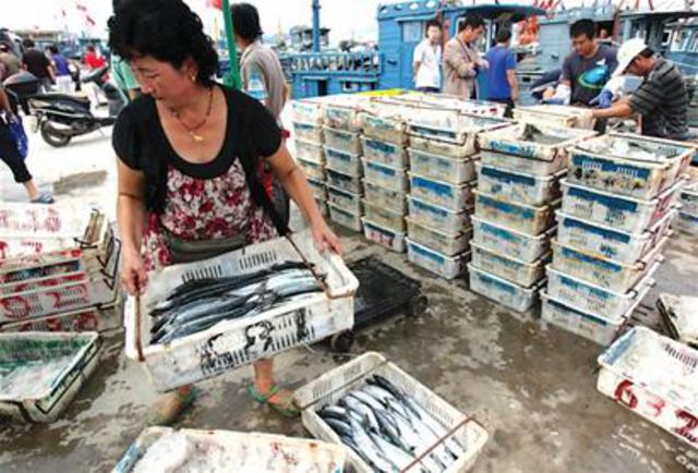 青岛码头买海货最详攻略