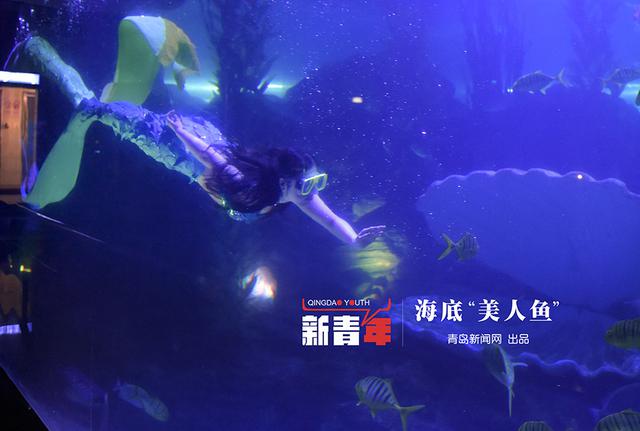 【新青年】90后美人鱼 玻璃缸里的青春童话