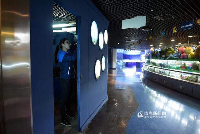 【新青年】90后美人鱼 玻璃缸里的青春童话