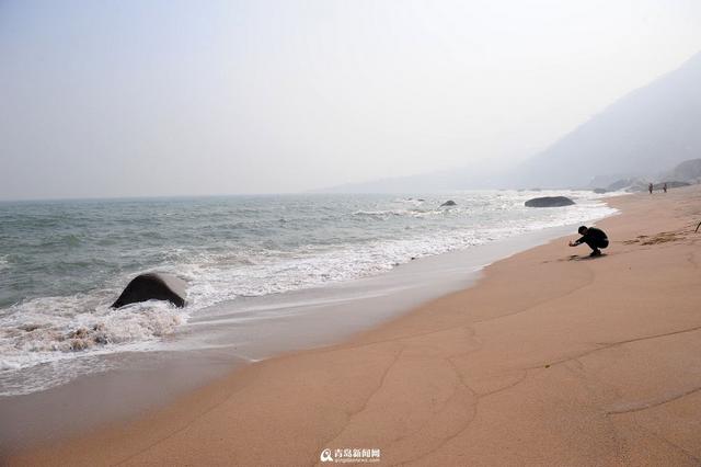【春游季】去返岭村看白沙滩 感受壮丽山海景