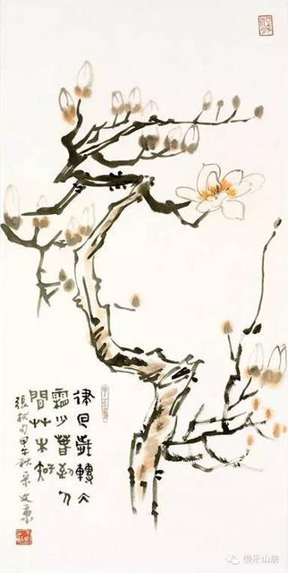 【春消息】本周玉兰盛放 青岛这些地方可观赏