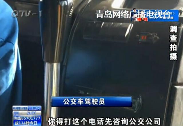 青岛现专业导盲犬 出行遇尴尬