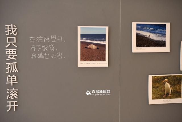 莫文蔚4月2日青岛开唱 私房影展亮相岛城 莫文蔚4月2日青岛开唱 私房影展亮相岛城
