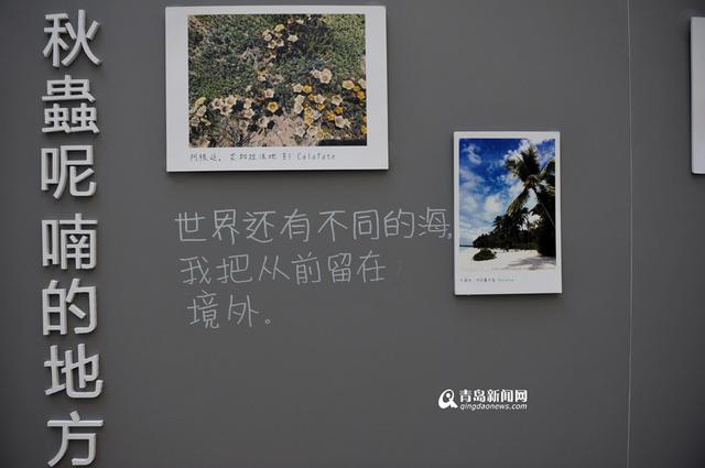 莫文蔚4月2日青岛开唱 私房影展亮相岛城 莫文蔚4月2日青岛开唱 私房影展亮相岛城
