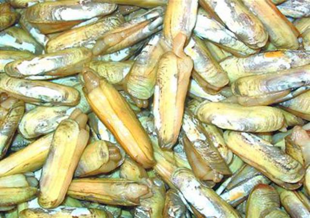 组图:青岛小海货物美价廉 蒸煮炒拌滋味十足