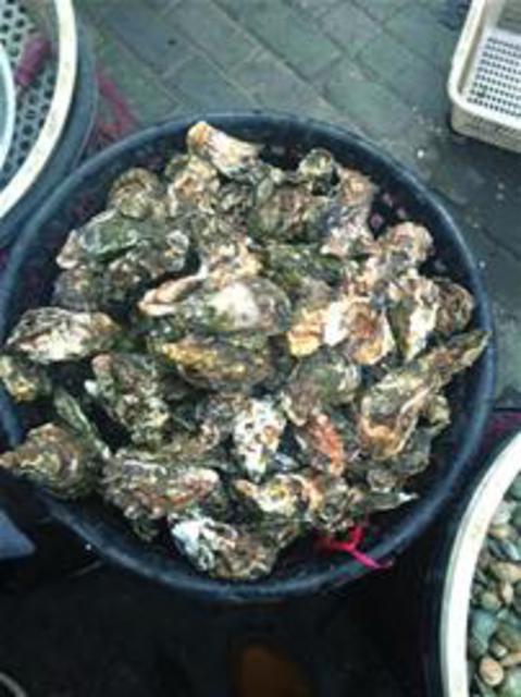 组图:青岛小海货物美价廉 蒸煮炒拌滋味十足