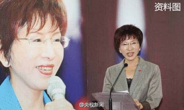 洪秀柱成国民党史上首位女主席 得票过半 