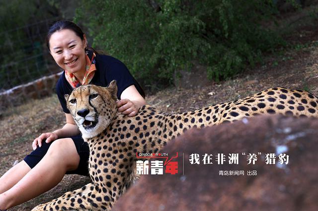 【新青年】青岛姑娘闯南非：枪声中'养'猎豹