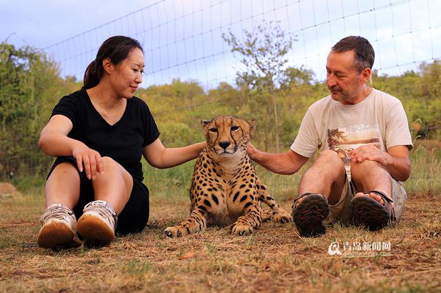【新青年】青岛姑娘闯南非：枪声中'养'猎豹