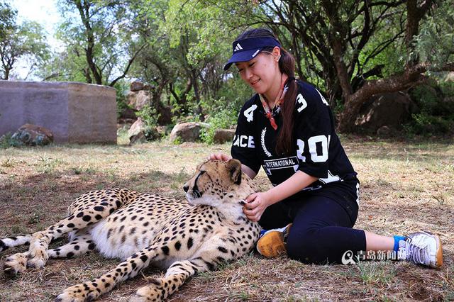 【新青年】青岛姑娘闯南非：枪声中'养'猎豹