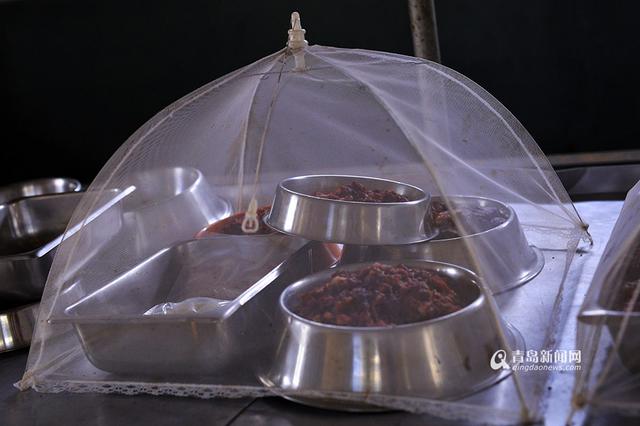 【新青年】青岛姑娘闯南非：枪声中'养'猎豹