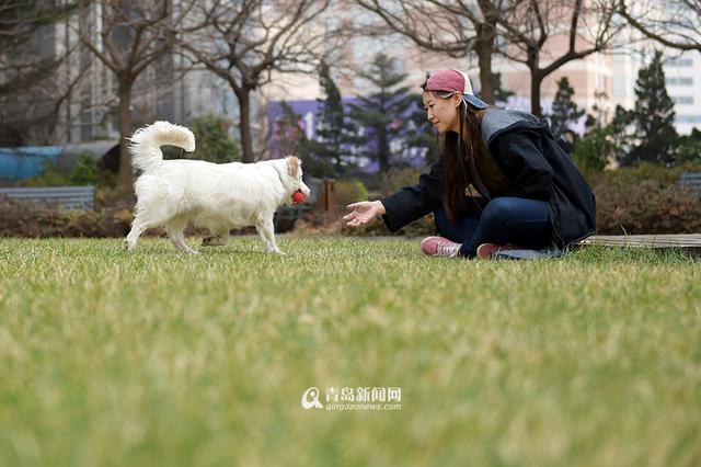 【新青年】青岛姑娘闯南非：枪声中'养'猎豹