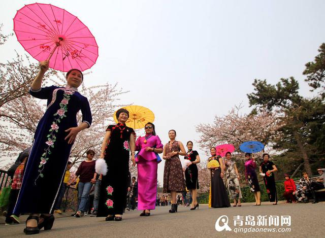 中山公园上演樱花旗袍秀 画面养眼引围观