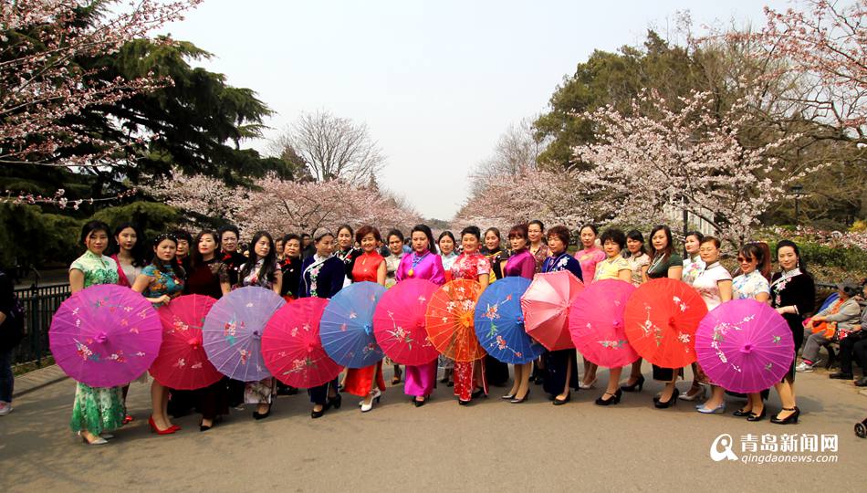 中山公园上演樱花旗袍秀 画面养眼引围观