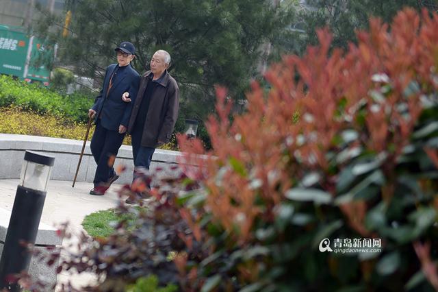 青岛好女婿:古稀老人照顾九旬岳父母 从未红脸