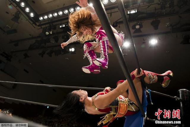 日本职业女子摔角手 日本职业女子摔角手