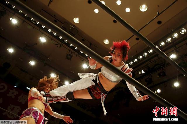 日本职业女子摔角手 日本职业女子摔角手
