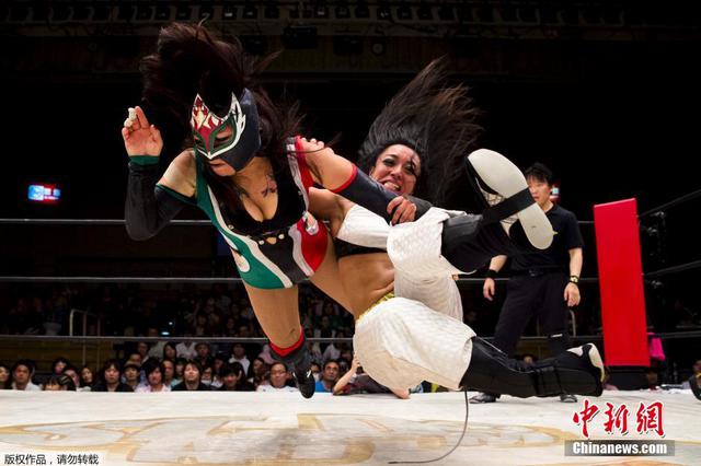 日本职业女子摔角手 日本职业女子摔角手
