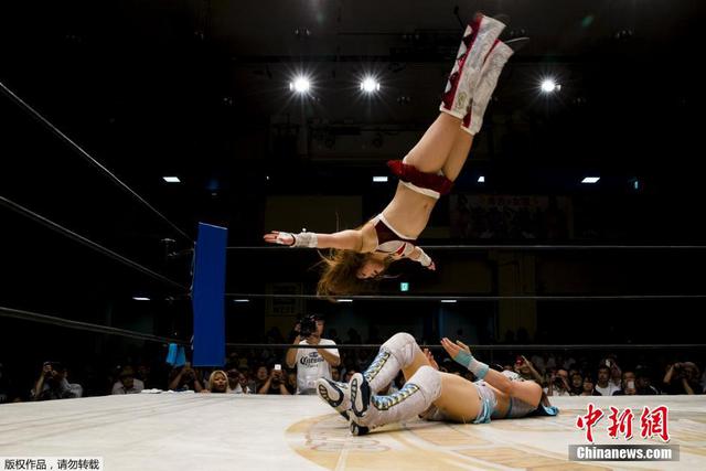 日本职业女子摔角手 日本职业女子摔角手