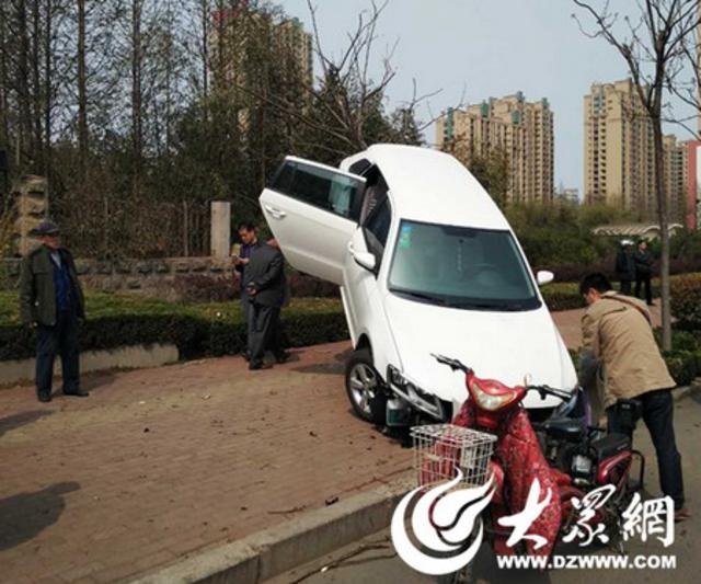 女司机把轿车开上树