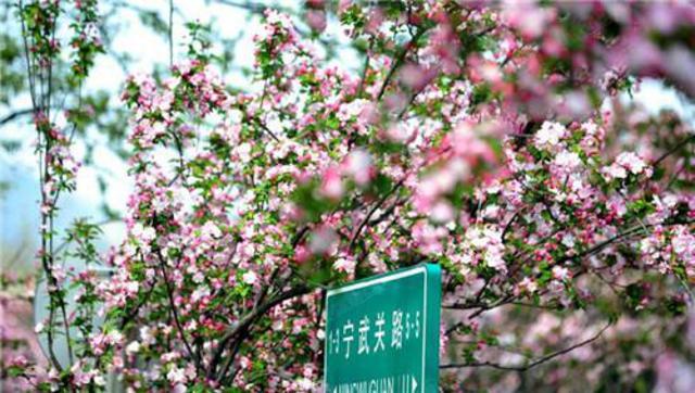 组图:五一游青岛就玩这20个地方 不来会后悔哦 组图:五一游青岛就玩这20个地方 不来会后悔哦