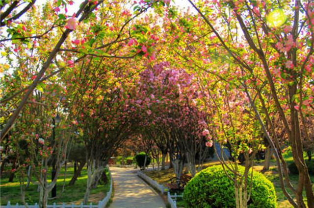 组图:五一游青岛就玩这20个地方 不来会后悔哦 组图:五一游青岛就玩这20个地方 不来会后悔哦