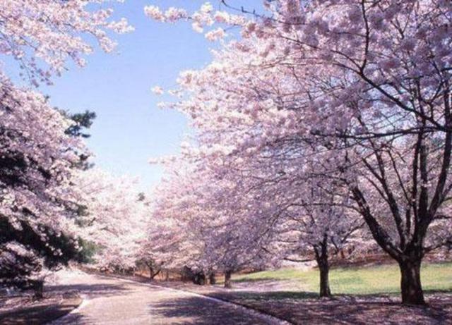 组图:五一游青岛就玩这20个地方 不来会后悔哦 组图:五一游青岛就玩这20个地方 不来会后悔哦