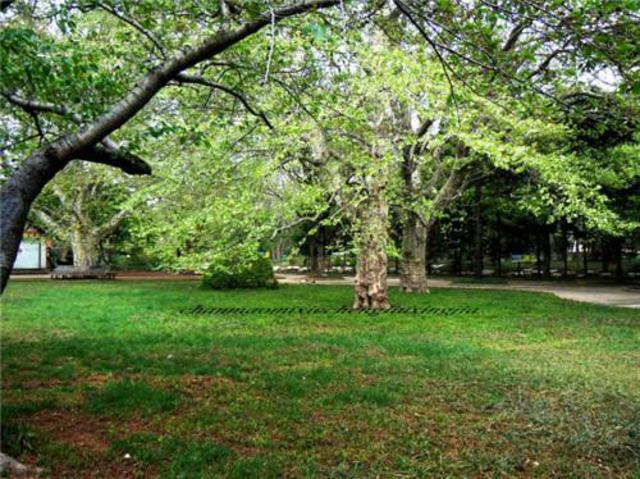 组图:五一游青岛就玩这20个地方 不来会后悔哦 组图:五一游青岛就玩这20个地方 不来会后悔哦