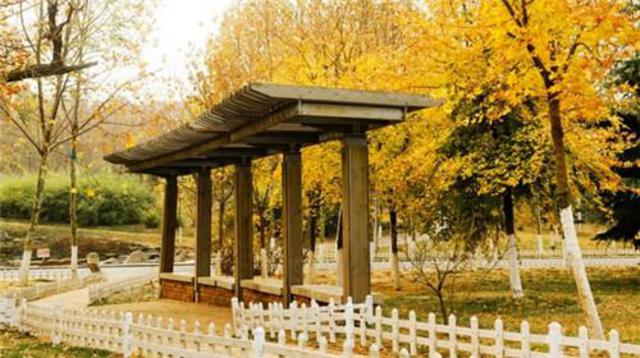 组图:五一游青岛就玩这20个地方 不来会后悔哦 组图:五一游青岛就玩这20个地方 不来会后悔哦