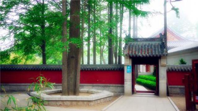 组图:五一游青岛就玩这20个地方 不来会后悔哦 组图:五一游青岛就玩这20个地方 不来会后悔哦