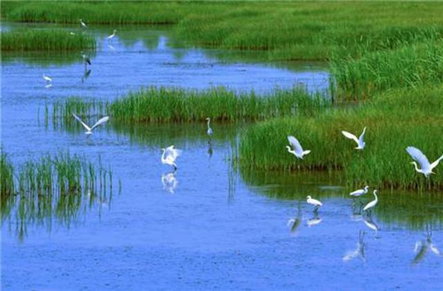 组图:五一游青岛就玩这20个地方 不来会后悔哦 组图:五一游青岛就玩这20个地方 不来会后悔哦