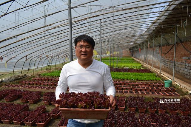 【创客列传】青岛农民用花盆种菜 一天赚23万