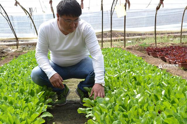 【创客列传】青岛农民用花盆种菜 一天赚23万