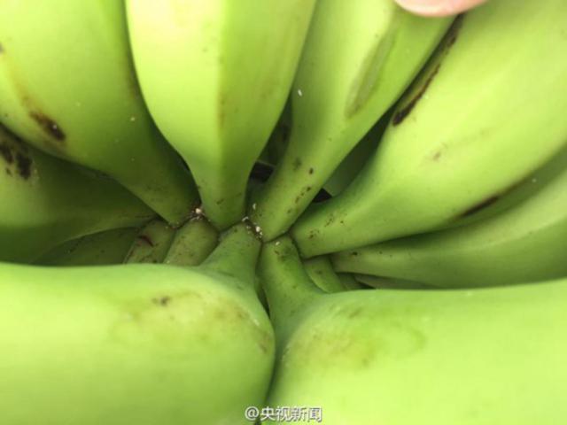 现场图