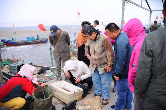 王哥庄野生海货丰收 这些美味你吃过几种 王哥庄野生海货丰收 这些美味你吃过几种