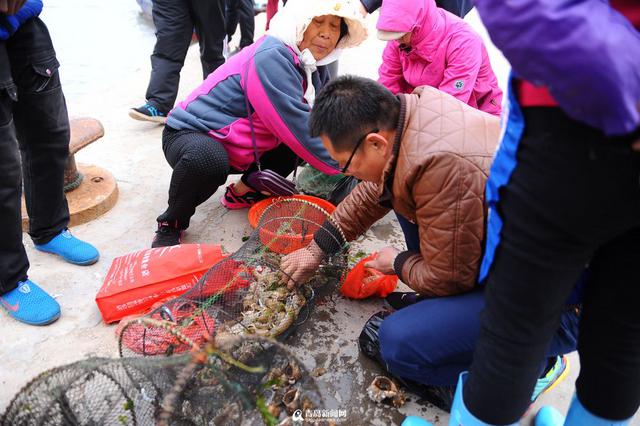 王哥庄野生海货丰收 这些美味你吃过几种 王哥庄野生海货丰收 这些美味你吃过几种