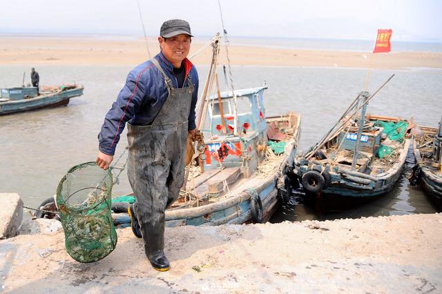 王哥庄野生海货丰收 这些美味你吃过几种 王哥庄野生海货丰收 这些美味你吃过几种