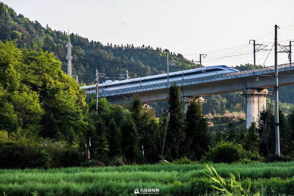 实拍最美高铁线路 青岛至厦门列车画中行