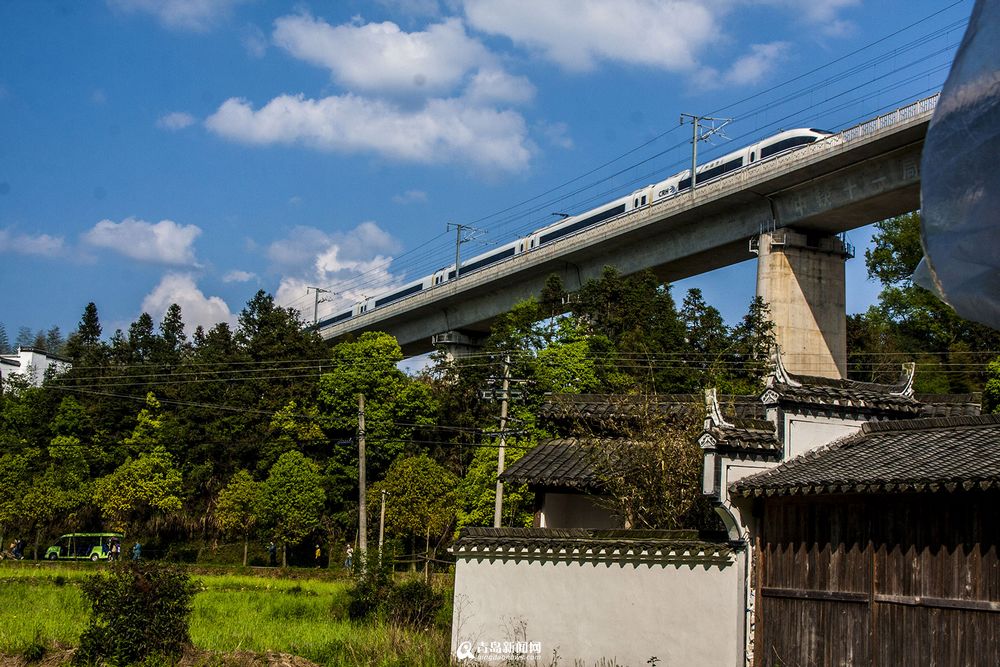 实拍最美高铁线路 青岛至厦门列车画中行